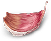 Lieferung Sinn